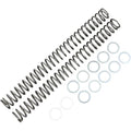 Race Tech Fork Springs - 0.46 kg/mm | Frsp 434646