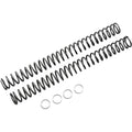 Race Tech Fork Springs - 0.46 kg/mm | Frsp 444646