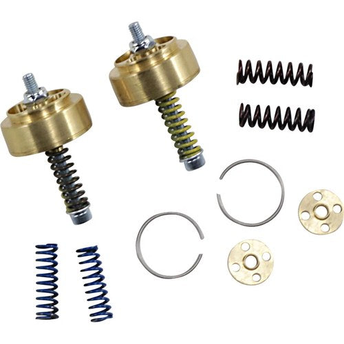 Race Tech Gold Valve Cartridge Fork Emulators - 41mm | Fegv S4101