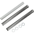Race Tech Fork Springs - 0.90 kg/mm | Frsp S3234090