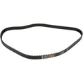 Panther Rear Drive Belt - 150-Tooth - 1 3/8" | 62-1232