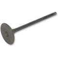 Prox Intake Valve | 28.1495-2