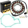 Stator and Gasket fits Honda VT600CD VT600CD2 Deluxe Shadow Vlx 600 1999 - 2007