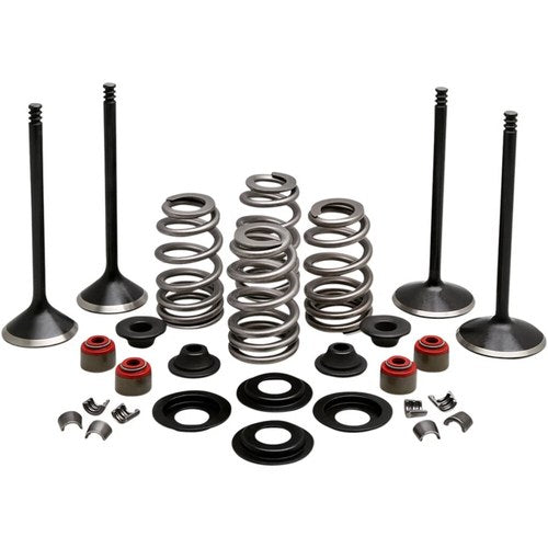 Kibblewhite Complete Valve Kit - Evolution/1200 | 20-22950
