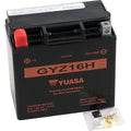 Yuasa Gyz High Performance Maintenance-Free Agm Battery (GYZ16H) YUAM716GH