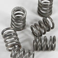 Ebc Csk Clutch Spring Kit | CSK71