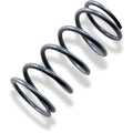 Epi Primary Drive Clutch Spring, Silver | PS-6