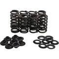 Kibblewhite Beehive Valve Spring Kit | 30-33800