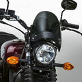 National Cycle Flyscreen with Black Hardware, Dark Tint | N2531-002