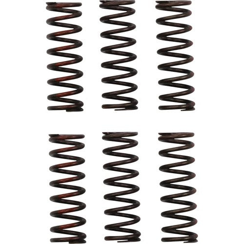 Pro Circuit Clutch Springs Pro Circuit | CSH21450-CS
