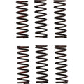 Pro Circuit Clutch Springs Pro Circuit | CSH21450-CS