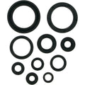 Moose Racing Engine Oil Seal Kit (0935-0272)