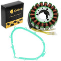 Stator & Gasket for Kawasaki VN750 Vulcan 750 1990 1991 1992 1993-2006 Magneto