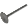 Prox Exhaust Valve | 28.3402-1