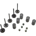 Wiseco Valve Kit | SVKB2424