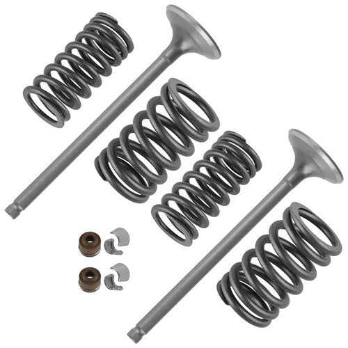 2x Exhaust Valve Kit for Honda XR400R 1996 1997 1998 1999 2000 2001 2002-2004