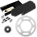 Black O-Ring Drive Chain & Sprocket Kit for Suzuki DR350 1990 1991 1992 1993