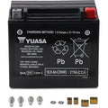 Yuasa Factory-Activated Maintenance-Free Agm Battery (YTX20L) YUAM420BS