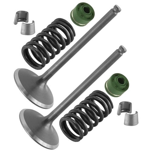 2x Intake Valve Kit for Yamaha 33D-12111-00-00 33D-12113-00-00 3LD-12118-00-00