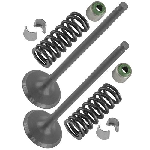 2x Intake Valve Kit for Yamaha YZ250F 2002 2003 2004 2005 2006 2007 2008 2009