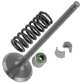 Intake Valve Kit for Yamaha 5NL-12111-30-00 5NL-12113-10-00 4TV-12119-00-00