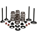Kibblewhite Complete Valve Kit - Evolution/1200 | 20-22850