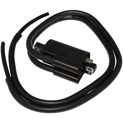 Ignition Coil for Yamaha 4Km-82320-01-00 4XV-82320-00-00