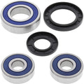 All Balls Wheel Bearing Kit - Double Seal - Rear | 25-1285