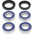 All Balls Wheel Bearing Kit - Double Seal - Front | 25-1381