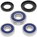 All Balls Wheel Bearing Kit - Double Seal - Rear | 25-1358