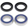 All Balls Wheel Bearing Kit - Double Seal - Front | 25-1378