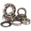 Hot Rods Transmission Bearing Kit | TBK0080