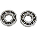 Hot Rods Counter Balancer Bearing Kit | BBK0020