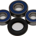 All Balls Rear Wheel Bearing/Seal Kit | 25-1231