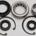 All Balls Inner Primary Bearing And Seal Kit | 25-3101