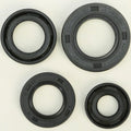 Vertex Oil Seal Set | 822163