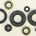 Vertex Oil Seal Set | 822293