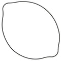 Vertex Clutch Cover Gasket | 817507