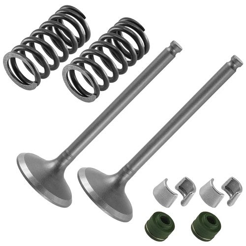 2x Exhaust Valve Kit for Yamaha WR450F 2007 2008 2009 2011 2012 2013 2014 2015