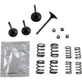 Wiseco Valve Kit | SVKB4406