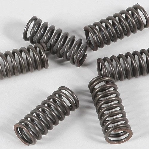 Ebc Csk Clutch Spring Kit CSK33