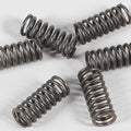 Ebc Csk Clutch Spring Kit CSK33
