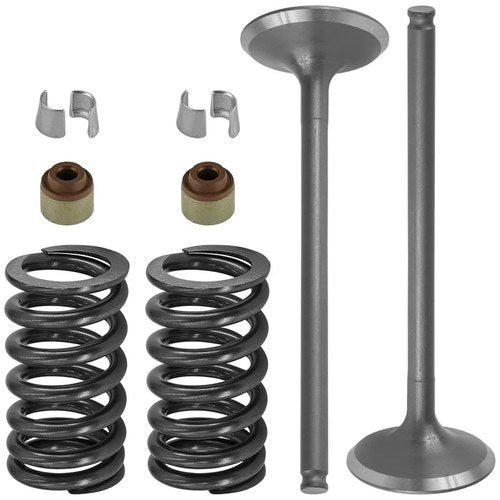 12005-0002 49078-0003 92049-1349 12011-1053 Exhaust Valve kit for Kawasaki