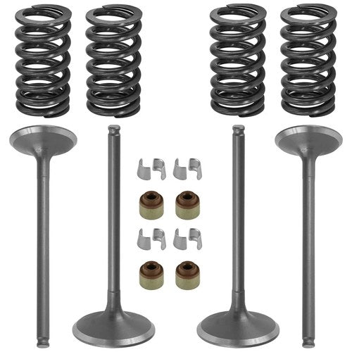 12005-0002 12004-0033 92049-1349 Exhaust & Intake Valve kit for Kawasaki