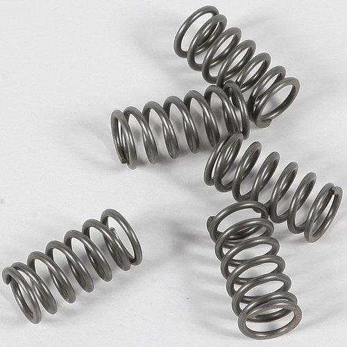 Ebc Csk Clutch Spring Kit CSK116
