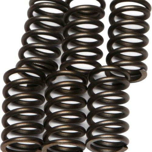 Ebc Csk Clutch Spring Kit CSK10