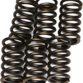 Ebc Csk Clutch Spring Kit CSK10