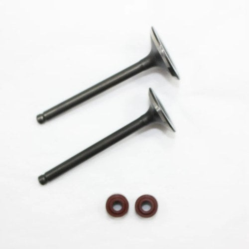 Engine Head Intake Exhaust Valves 125cc 140cc Pit Pro Trail Dirt Bike