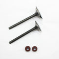 Engine Head Intake Exhaust Valves 125cc 140cc Pit Pro Trail Dirt Bike