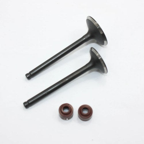 YX 140cc Engine Head Intake Exhaust Valves Pit Pro Trail Dirt Bike